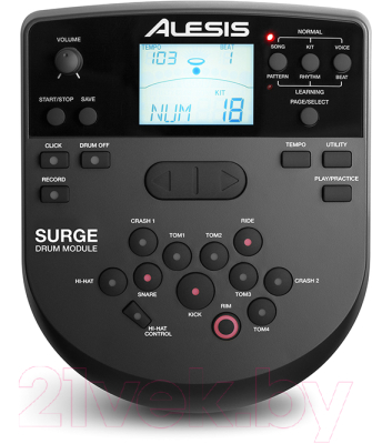 Ударная установка электронная Alesis Surge Mesh Kit