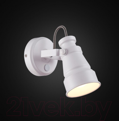 Спот Citilux Бейкер CL541510