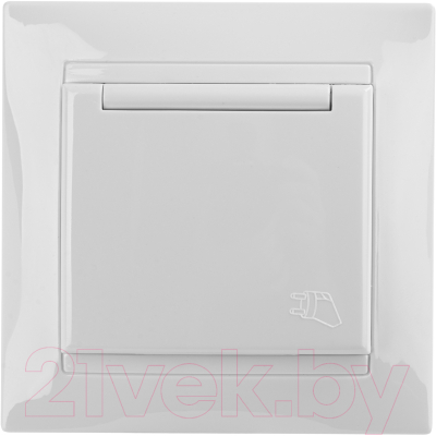 Розетка TDM Лама SQ1815-0026