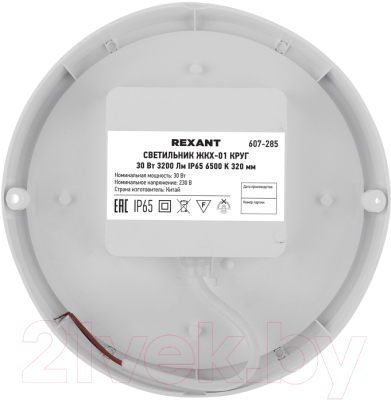 Светильник ЖКХ Rexant Круг ЖКХ-01 / 607-285