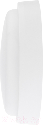 Светильник ЖКХ Rexant Круг ЖКХ-01 / 607-285