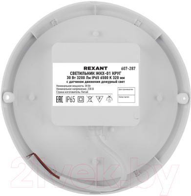 Светильник ЖКХ Rexant Круг ЖКХ-01 / 607-287
