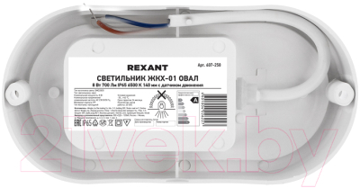 Светильник ЖКХ Rexant Овал ЖКХ-01 / 607-258