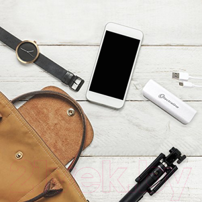 Портативное зарядное устройство Electraline 500331