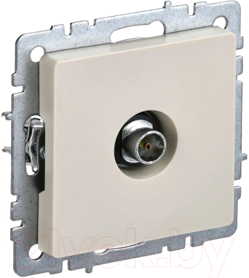 Розетка IEK BR-A10-O-K10 - фото