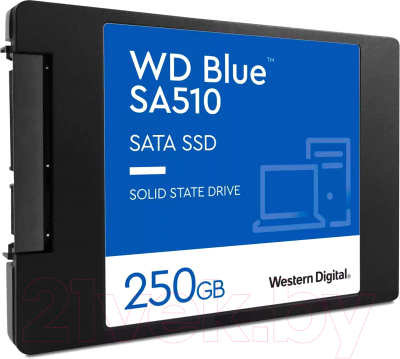 SSD диск Western Digital 250GB Blue (WDS250G3B0A)