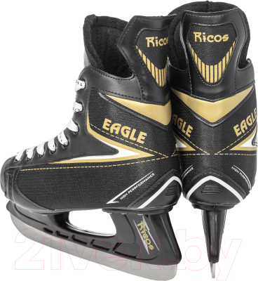 Коньки хоккейные Ricos Eagle PW-206AJ
