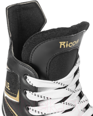 Коньки хоккейные Ricos Eagle PW-206AJ