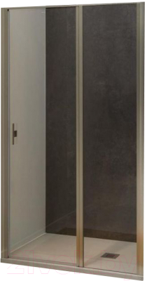 Душевая дверь Allen Brau Priority 3.31029.BA / 294058 - фото