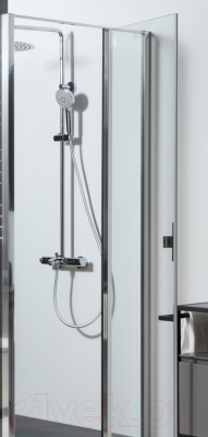 Душевая дверь Allen Brau Priority 3.31031.00 / 294060
