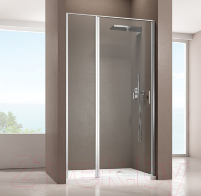 Душевая дверь Allen Brau Priority 3.31037.00 / 294066