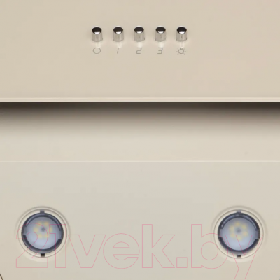 Вытяжка наклонная Konigin Colibri 60