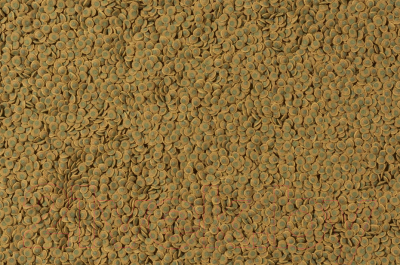 Корм для рыб Tetra Pleco Veggie Wafers / 198951/709380