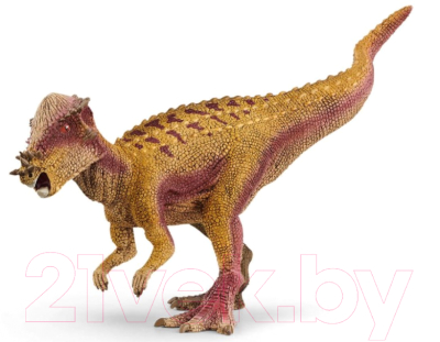 Фигурка коллекционная Schleich Пахицефалозавр / 15024 - фото