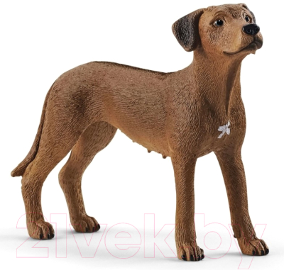 Фигурка коллекционная Schleich Родезийский риджбек / 13895 - фото