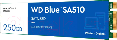 SSD диск Western Digital 250GB (WDS250G3B0B)