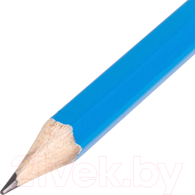 Набор простых карандашей Юнландия Неончики + 2 ластика / 181783