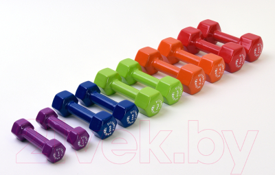 Набор гантелей Original FitTools FT-VWB-SET30