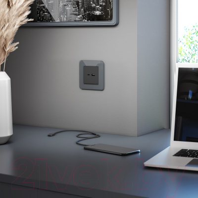 Рамка для выключателей и розеток Werkel W0012440