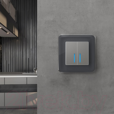 Рамка для выключателей и розеток Werkel W0012440