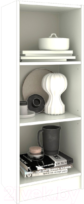 Стеллаж Кортекс-мебель Бинго 40x106