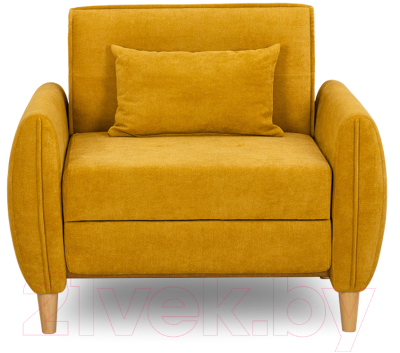 Кресло-кровать Нижегородмебель и К Анита ТК 371