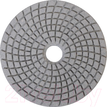 Шлифовальный круг Sturm! 9012-W100-50 - фото