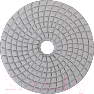 Шлифовальный круг Sturm! 9012-W100-800 - фото