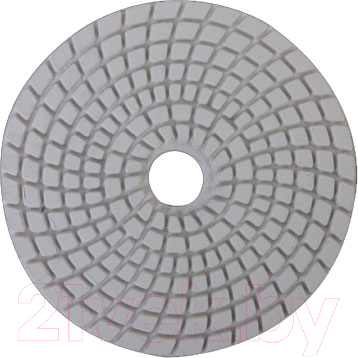 Шлифовальный круг Sturm! 9012-W100-3000 - фото