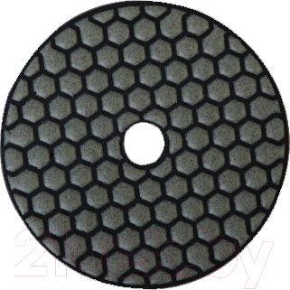 Шлифовальный круг Sturm! 9012-D100-50 - фото