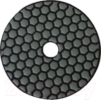 Шлифовальный круг Sturm! 9012-D100-100 - фото