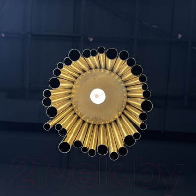 Потолочный светильник Imperiumloft 40.824 / 84575-22