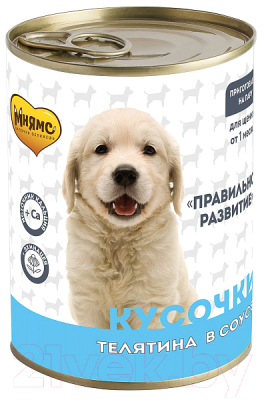 Влажный корм для собак Мнямс Правильное развитие. Кусочки в соусе с телятиной / 704987 - фото