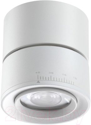 Спот Novotech Eddy 358947