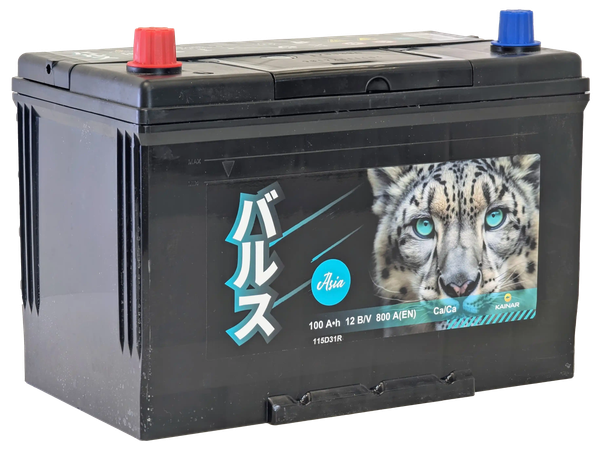 Автомобильный аккумулятор BARS Asia 100 JL / 090 141 09 0 R - фото