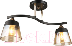 Люстра Imex MD.3772-2-S BK+FGD - фото