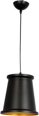 Потолочный светильник Image PNL.003.200.01 (черный/золото) - фото