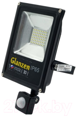 Прожектор Glanzen FAD-0012-30 - фото