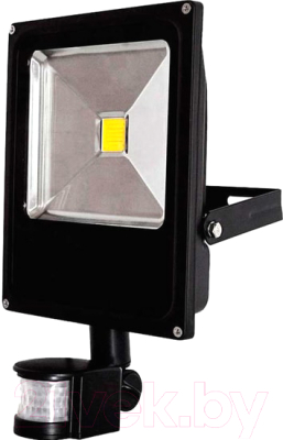 Прожектор Glanzen FAD-0013-50 - фото