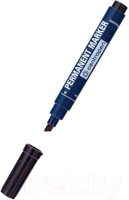 Маркер перманентный Centropen Dry Safe / 8516/01-12 - фото