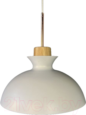 Потолочный светильник Imperiumloft OMG1 / 101863-26 - фото