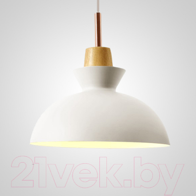 Потолочный светильник Imperiumloft OMG1 / 101863-26