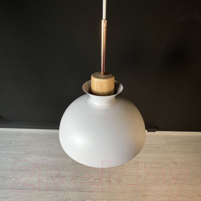 Потолочный светильник Imperiumloft OMG1 / 101863-26