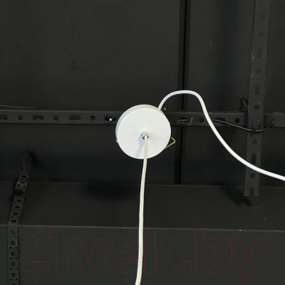 Потолочный светильник Imperiumloft OMG1 / 101863-26