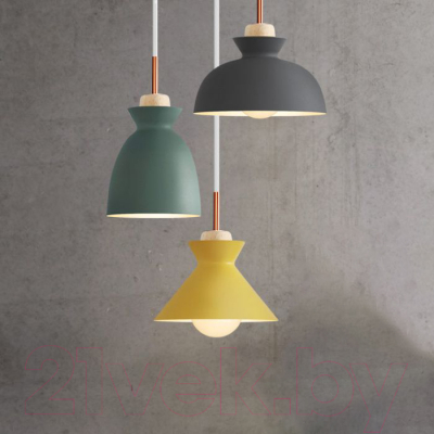 Потолочный светильник Imperiumloft OMG1 / 179785-26