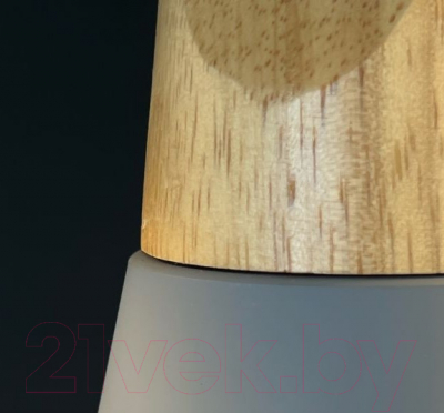 Потолочный светильник Imperiumloft XD1 / 178205-26