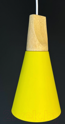 Потолочный светильник Imperiumloft XD1 / 178206-26