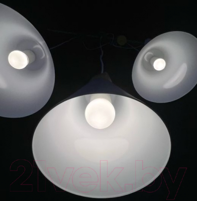 Потолочный светильник Imperiumloft XD1 / 178214-26