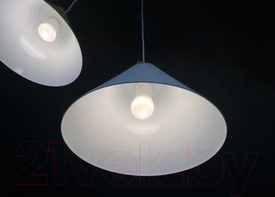 Потолочный светильник Imperiumloft XD1 / 178212-26 - фото