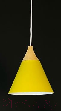 Потолочный светильник Imperiumloft XD1 / 178213-26